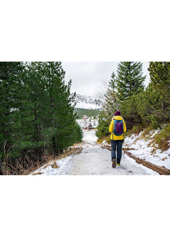 Льодоходи (льодоступи) на взуття Mountain Goat Standard 9 Nails MG0002 Size S No Brand (258543817)