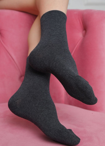 Шкарпетки жіночі демісезонні сірого кольору Let's Shop (273901362)