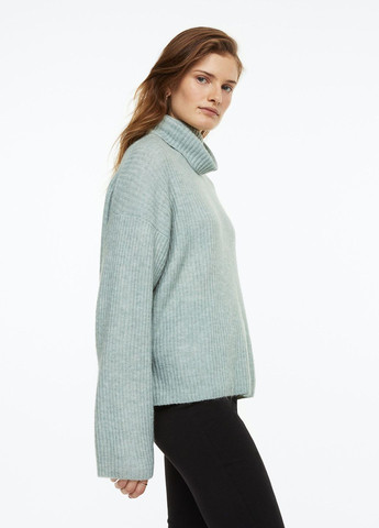 Светло-зеленый зимний свитер-водолазка H&M