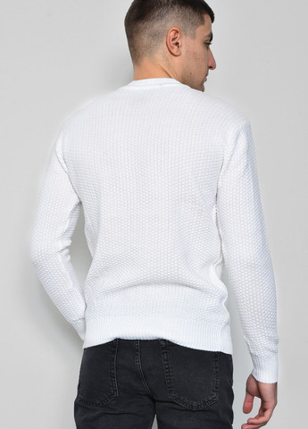 Білий демісезонний светр чоловічий однотонний білого кольору пуловер Let's Shop