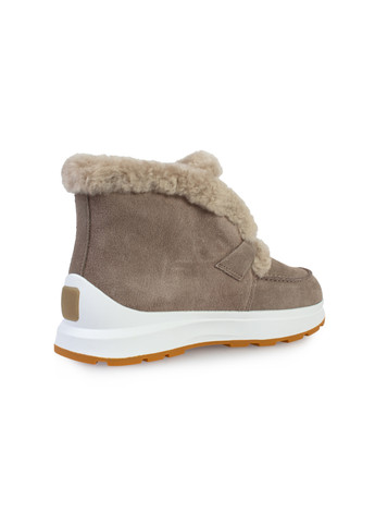 Зимние ботинки женские бренда 8501359_(1) Lonza из натуральной замши