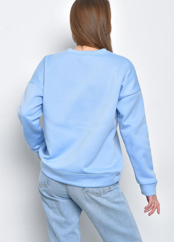 Батник жіночий на флісі блакитного кольору Let's Shop - Прямий крій однотонний блакитний спортивний поліестер - (271126492)