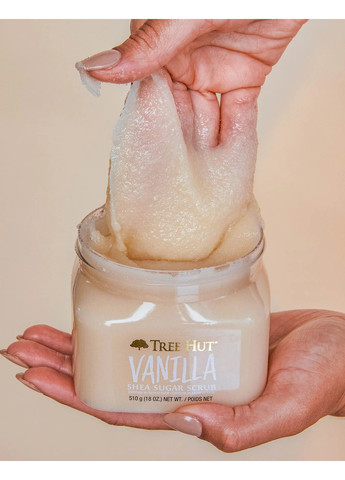 Скраб для тела Vanilla Sugar Scrub сахарный на основе ванили, 510 г Tree Hut (261255098)