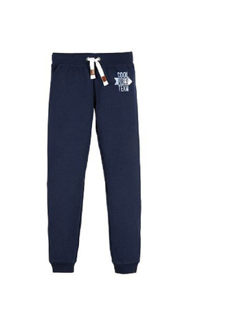 Темно-синие спортивные демисезонные джоггеры брюки Pepperts
