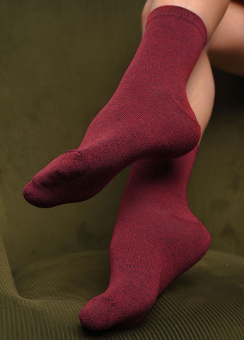 Носки женские демисезонные бордового цвета размер 36-40 Let's Shop (277983331)