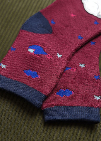 Шкарпетки дитячі махрові для хлопчика бордового кольору Let's Shop (269387537)