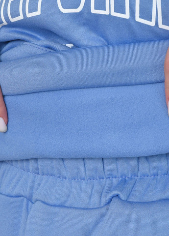 Спортивный костюм женский на флисе голубого цвета Let's Shop (263591275)