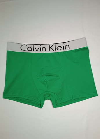 Модные зеленые мужские трусы боксеры с толстой резинкой No Brand (270368372)