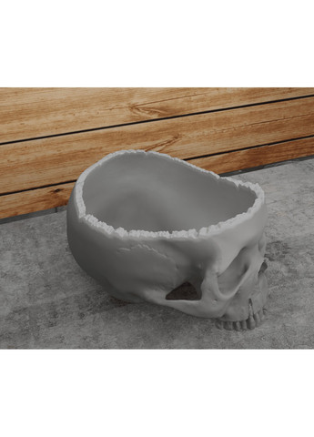 Відкритий череп. ЗаСвіт (266425345)