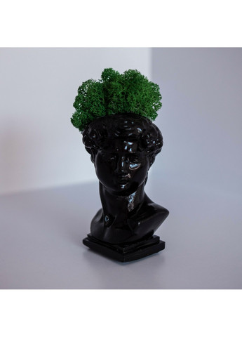 Кашпо Давид з темно-зеленим мохом, чорний Trensi (258330533)