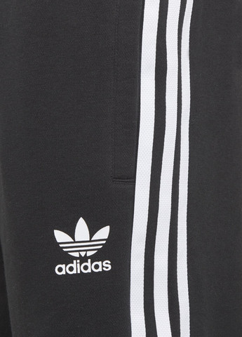 Шорты Adicolor adidas (260713477)