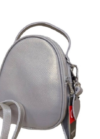 Міська жіноча сумка з натуральної шкіри SVG срібляста Мария 304 (259214912)