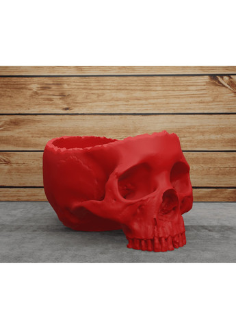 Открытый череп. ЗаСвіт (266425507)