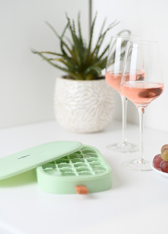 Форма для льоду з кришкою на 28 секцій, 13,2х3,8х24 см MVM (263510444)