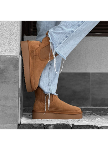 Черевики Уггі з натуральної замші Restime (270830075)