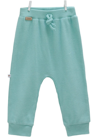 Бірюзовий демісезонний комплект кофта+штани, серія best boy Caramell