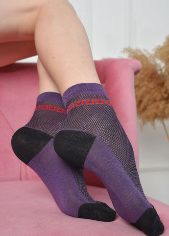 Шкарпетки жіночі сітка фіолетового кольору розмір 36-40 Let's Shop (261406781)