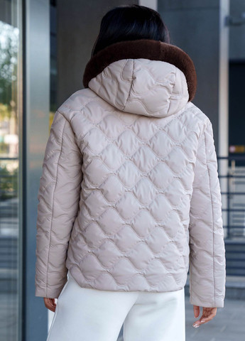 Бежева зимня стильна коротка куртка на утеплювачі бежевого кольору Jadone Fashion Куртка