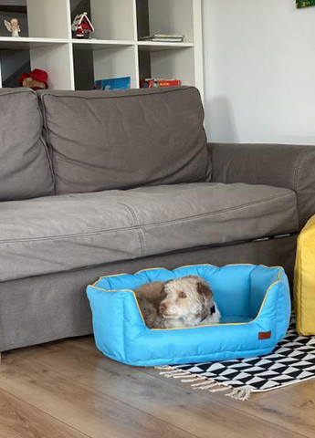 Лежак для собак та котів до 7 кг. Серія Крим "Мушля" . Голубой. VseVporyadke (259521328)
