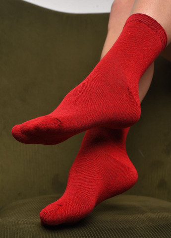 Шкарпетки жіночі демісезонні бордового кольору розмір 36-40 Let's Shop (277983278)