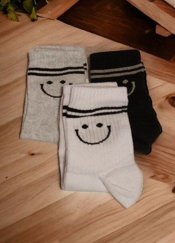 Набір жіночих шкарпеток Smile No Brand (266429377)