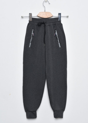 Спортивні штани дитячі для хлопчика на флісі темно-сірого кольору Let's Shop (273901230)