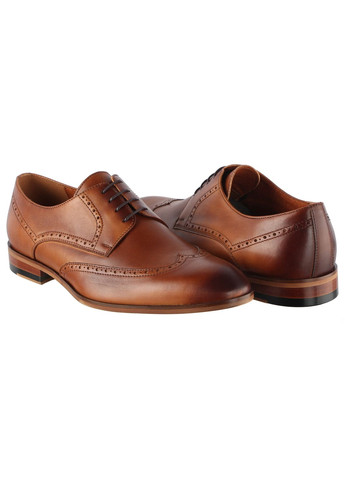 Коричневые мужские классические туфли 6749 Fabio Conti на шнурках