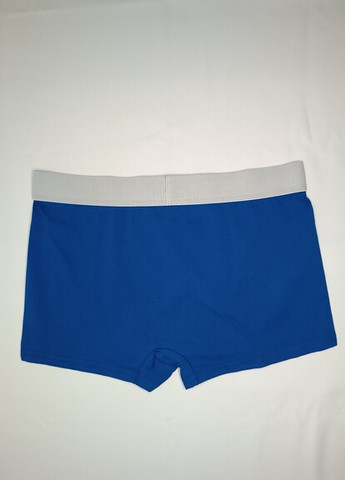 Модные синие мужские трусы боксеры с толстой резинкой No Brand (270368361)