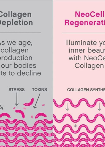 Супер Колаген тип 1 і 3 з вітаміном C Super Collagen + C, Collagen Type 1 & 3, 360 Tablets Neocell (263348301)