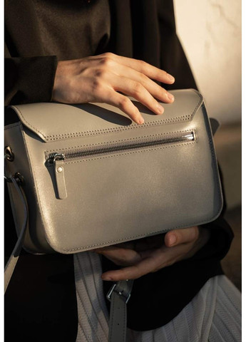 Женская кожаная мини сумка Moment серая TW-MOMENT-GREY The Wings (263519041)