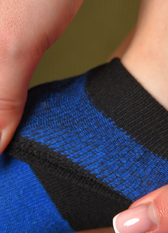 Шкарпетки жіночі демісезонні чорно-синього кольору розмір 36-40 Let's Shop (277983306)
