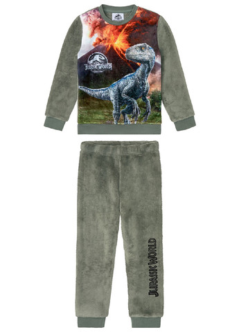 Оливковая (хаки) зимняя плющевая пижама (свитшот, брюки) свитшот + брюки Jurassic World