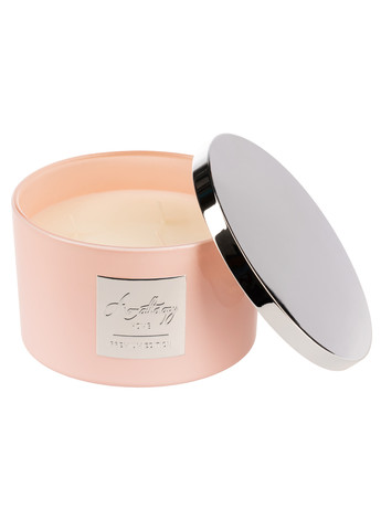 Преміальна ароматична свічка Aromatherapy Home Premium Edition солодкий аромат журавлинного чаю, 1 кг Pepco (259518290)