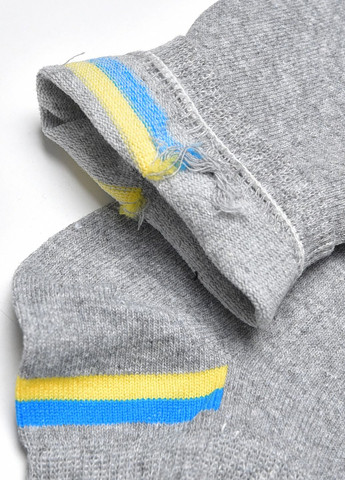 Шкарпетки чоловічі спортивні сірого кольору розмір 41-45 Let's Shop (278050253)