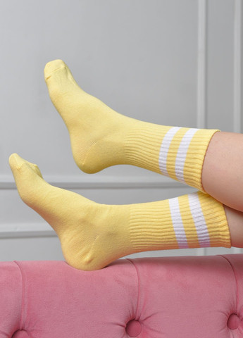 Шкарпетки жіночі високі жовтого кольору розмір 36-40 Let's Shop (273176764)