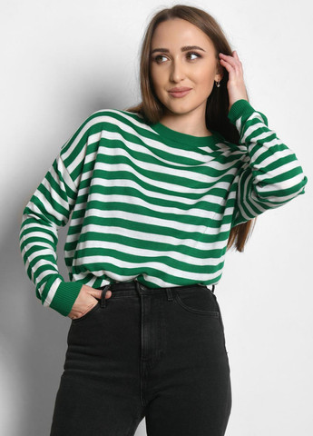 Зеленый демисезонный джемпер джемпер Carica