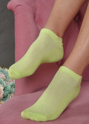 Шкарпетки жіночі короткі салатового кольору розмір 36-40 Let's Shop (264640423)