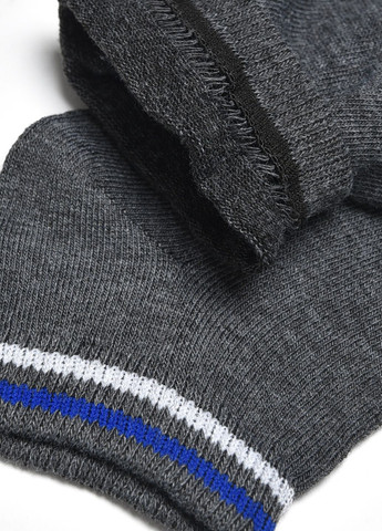 Шкарпетки чоловічі спортивні темно-сірого кольору розмір 41-45 Let's Shop (278050426)