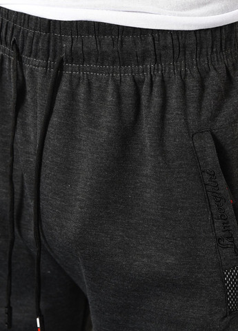 Спортивні штани чоловічі темно-сірого кольору Let's Shop (277962771)