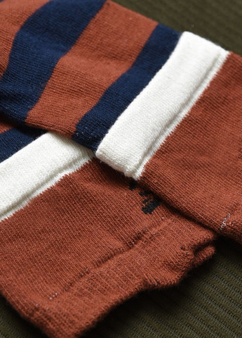 Шкарпетки дитячі для хлопчика коричневого кольору в смужку Let's Shop (276382769)