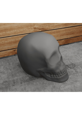 Череп класичний. ЗаСвіт (266425313)