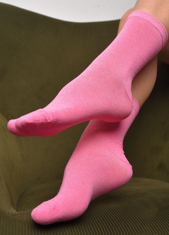 Шкарпетки жіночі демісезонні рожевого кольору розмір 36-40 Let's Shop (277983313)