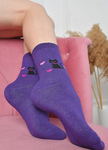 Шкарпетки махрові жіночі фіолетового кольору розмір 37-42 Let's Shop (261762168)