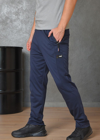 Спортивні чоловічі штани темно-синього кольору Let's Shop (263512210)