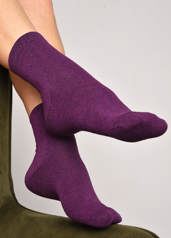 Шкарпетки жіночі демісезонні фіолетового кольору розмір 35-41 Let's Shop (277983337)