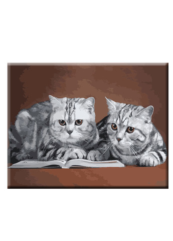 Картина по номерам Серые коты 40*50см ArtStory (258819672)