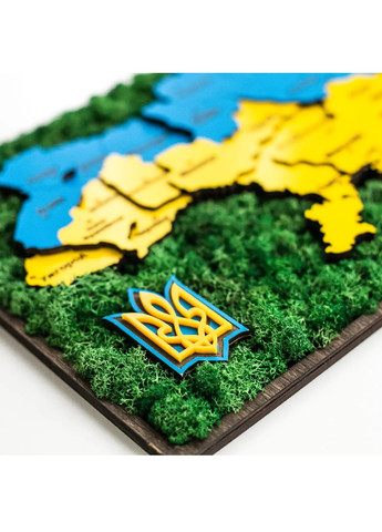 Панно картина флорариум деревянная со стабилизированным мхом карта Украины 40х27,5х2 см (475819-Prob) Желто-голубой мох Unbranded (271955581)