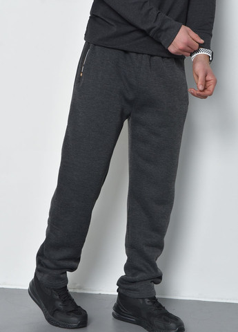 Спортивні штани чоловічі на флісі темно-сірого кольору Let's Shop (269387588)