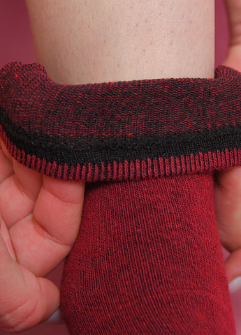 Шкарпетки жіночі демісезонні бордового кольору Let's Shop (273176807)