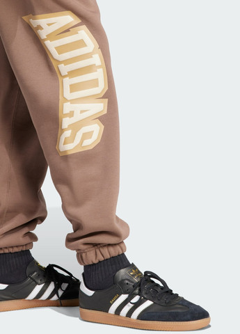 Коричневые спортивные демисезонные брюки adidas